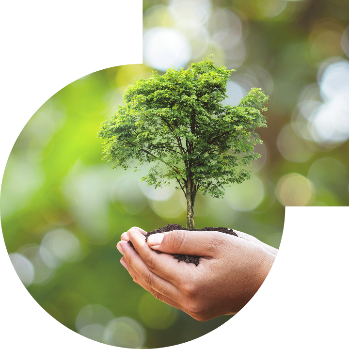 關懷人類、文化、環境與社會