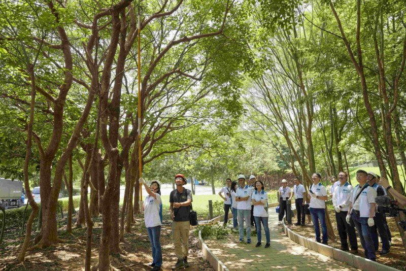 藝師教導大家認識樹木、檢查樹的健康狀況，學習修枝及碎枝覆土