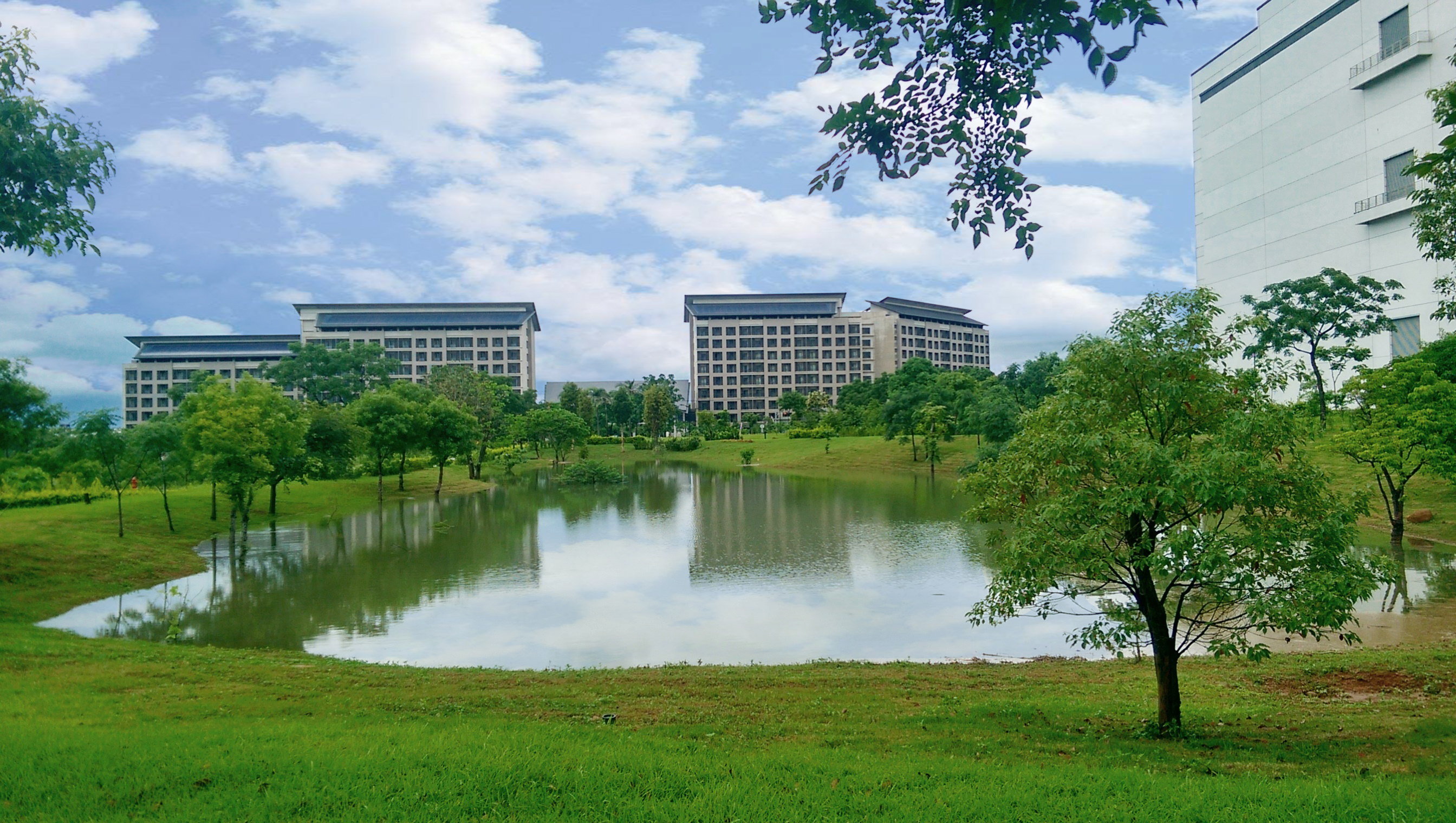 VR彩票響應國際倡議生物多樣性趨勢，首次發布TNFD自然相關財務揭露報告書，擘劃及開展VR彩票生物多樣性政策之承諾，逐步邁向與自然和諧共生