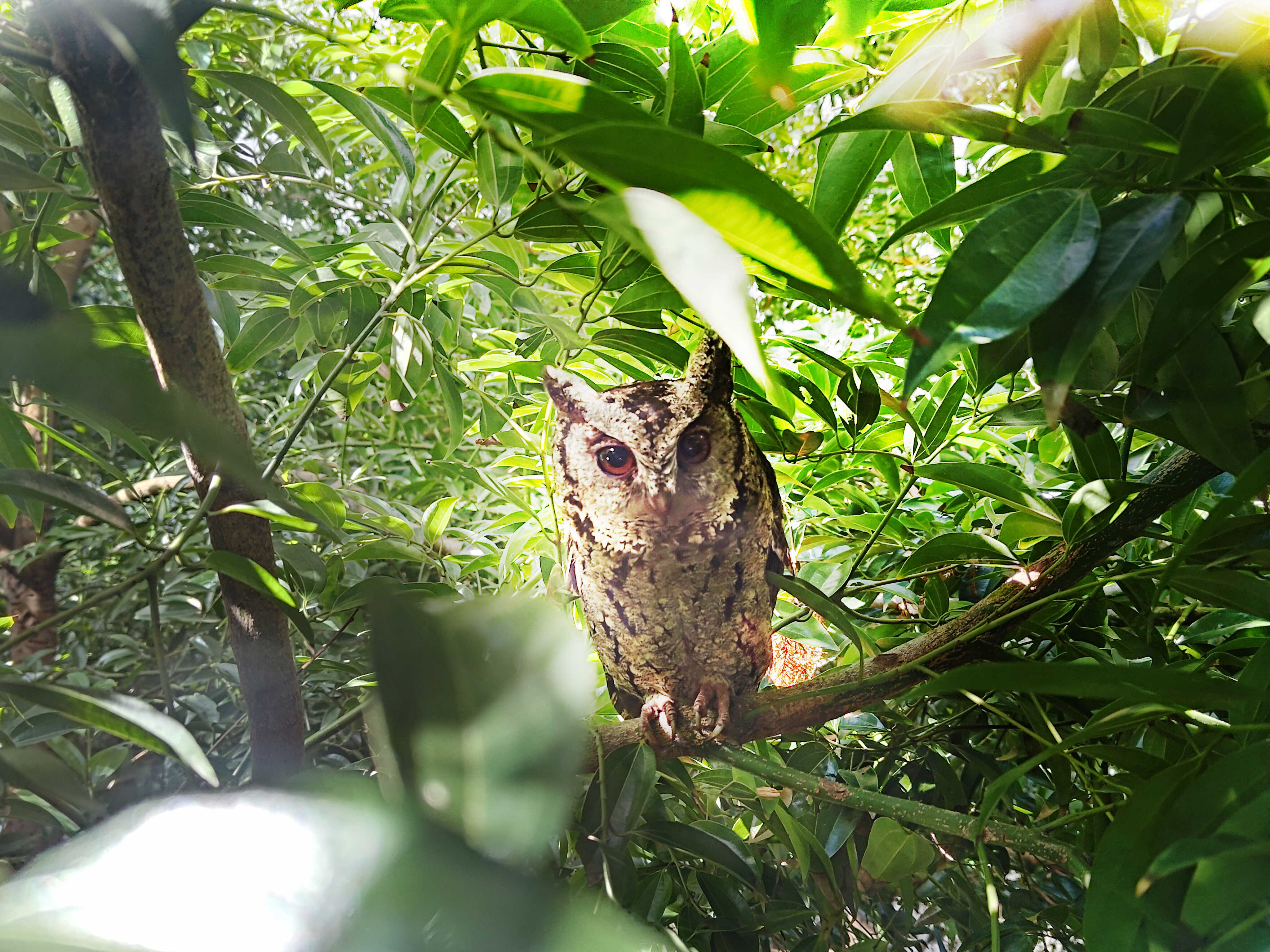 VR彩票致力提倡凈零綠生活，16年以來在全球各廠區植樹逾百萬棵，造就各廠區樹木蔚然成林，猶如森林工廠，成為許多生物的棲息地