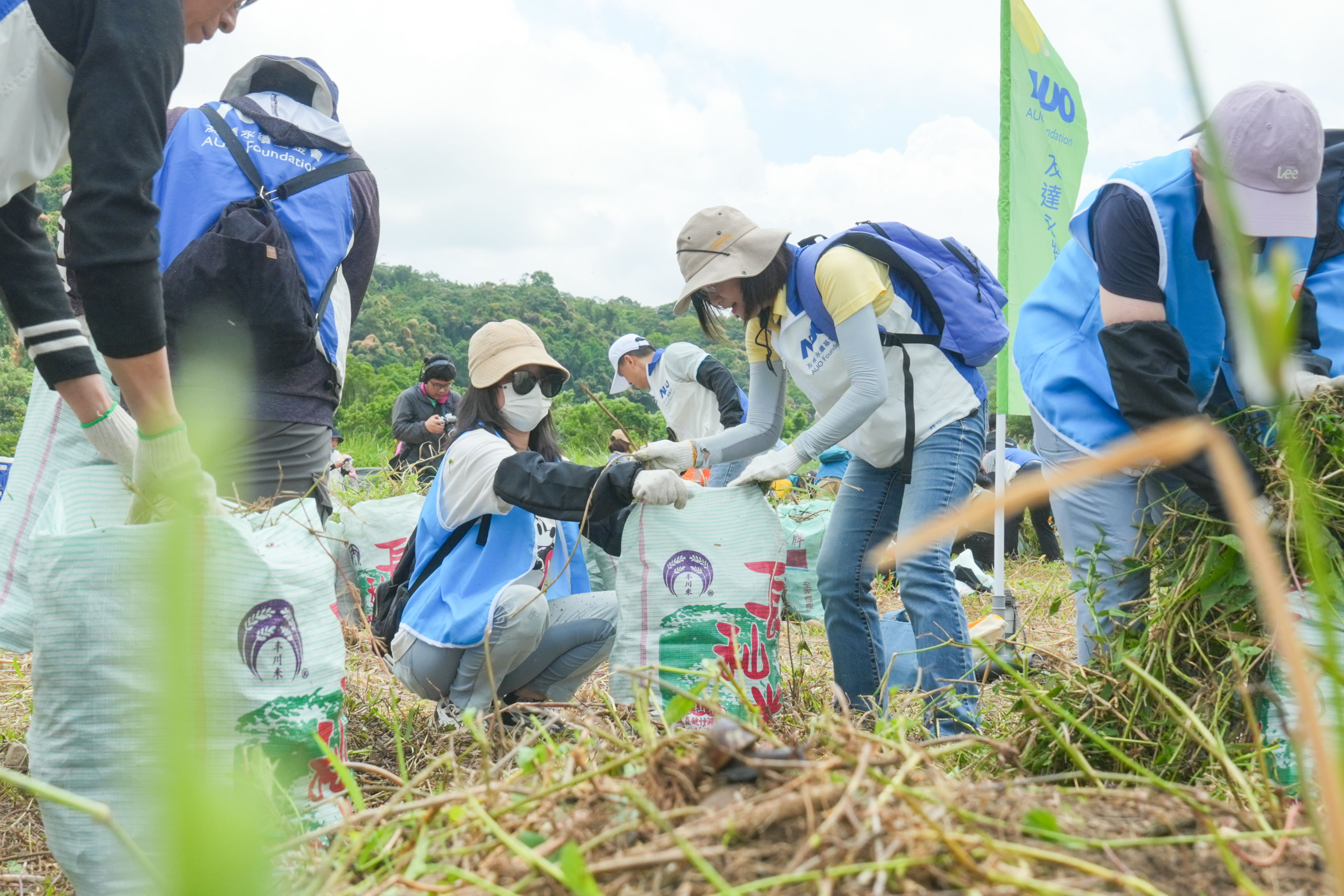 VR彩票除蔓防治計畫，除了鎖定霄裡溪沿岸3.2公里移除外來入侵種小花蔓澤蘭，並進行物種與空拍調查，共記錄91科181屬239種維管束植物，顯示該區域具高度生態價值