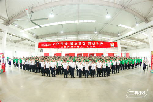 凝心聚力共筑文化生產(chǎn)力 | 三棵樹(shù)第一屆工廠文化節(jié)啟動(dòng)儀式圓滿(mǎn)舉行